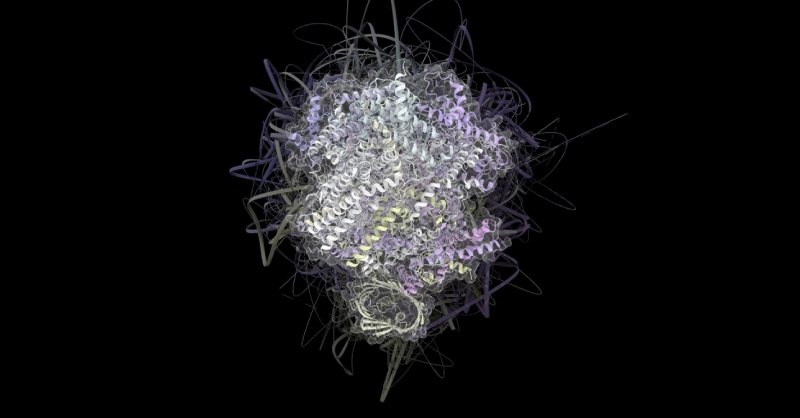 PDB Molecule (PDB ID:[ 7vcf, TOC-TIC supercomplex from Chlamydomonas algae.