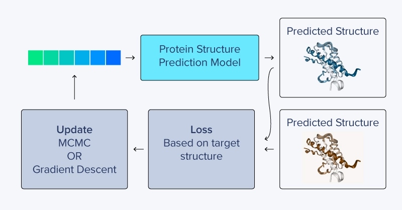 inverted structure prediction colabdesign - predicting protein sequence from structure
