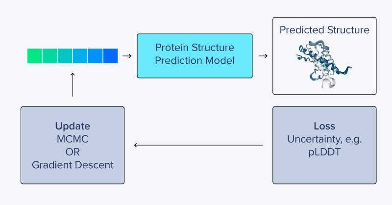 free hallucination colabdesign - predicting sequence from structure