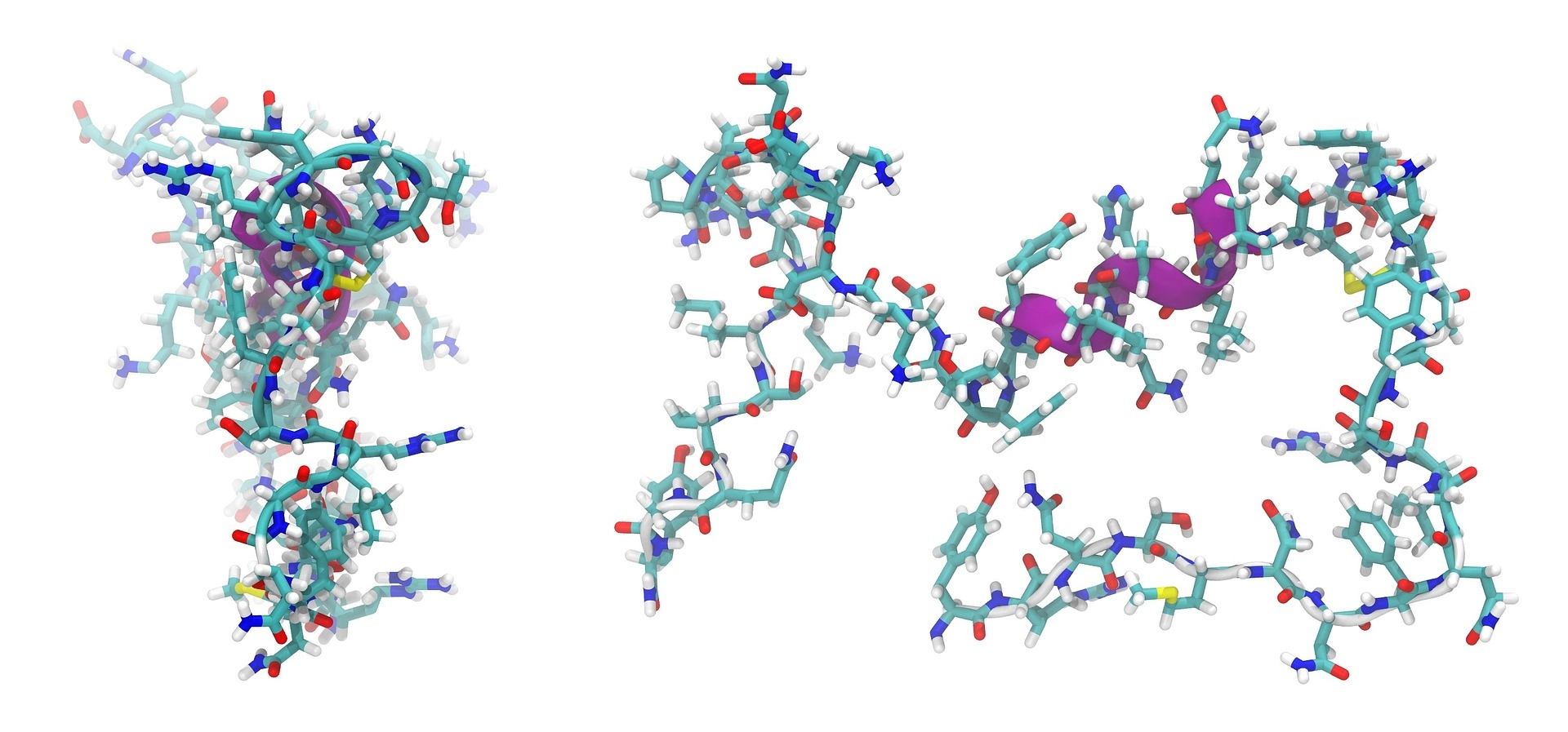 adrenomedullin-872350_1920.jpg