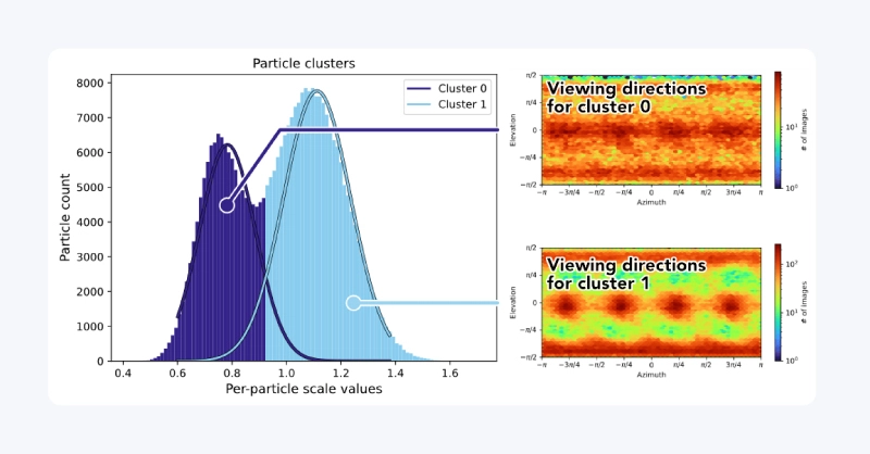CryoSPARC per particle scale optimization