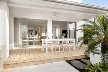 Photo of Misha 306-D33