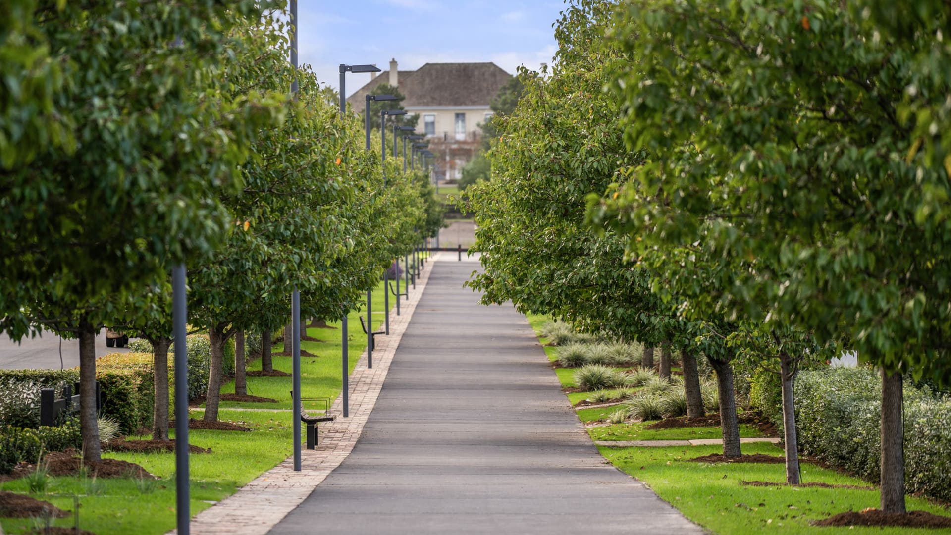 Robbins Lane streetscape