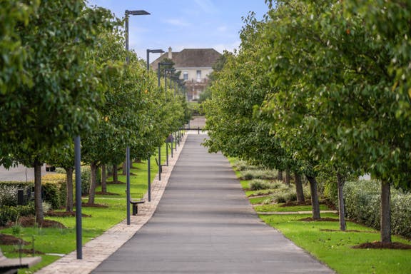 Robbins Lane streetscape