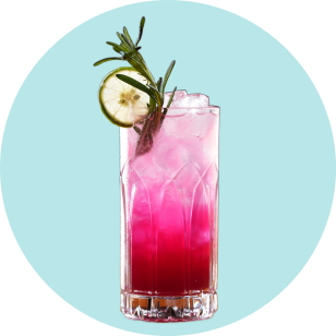 Tragos y Cócteles
