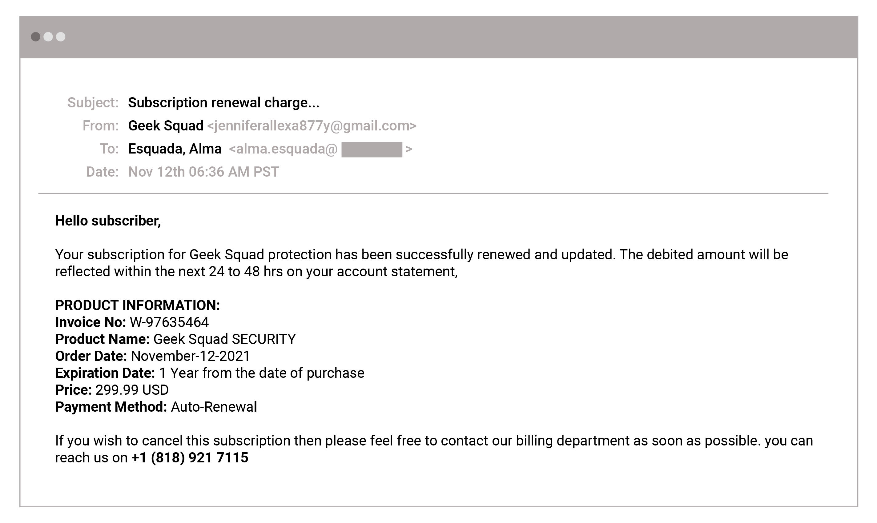 Geek Squad Attack Email