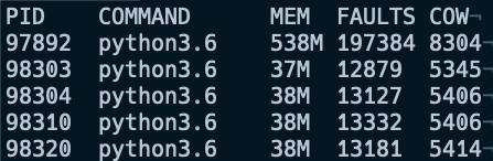 PersonDB copy-on-write faults