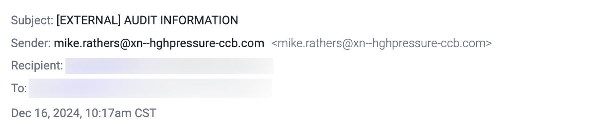 Punycode Blog Executive Impersonation Attack Header