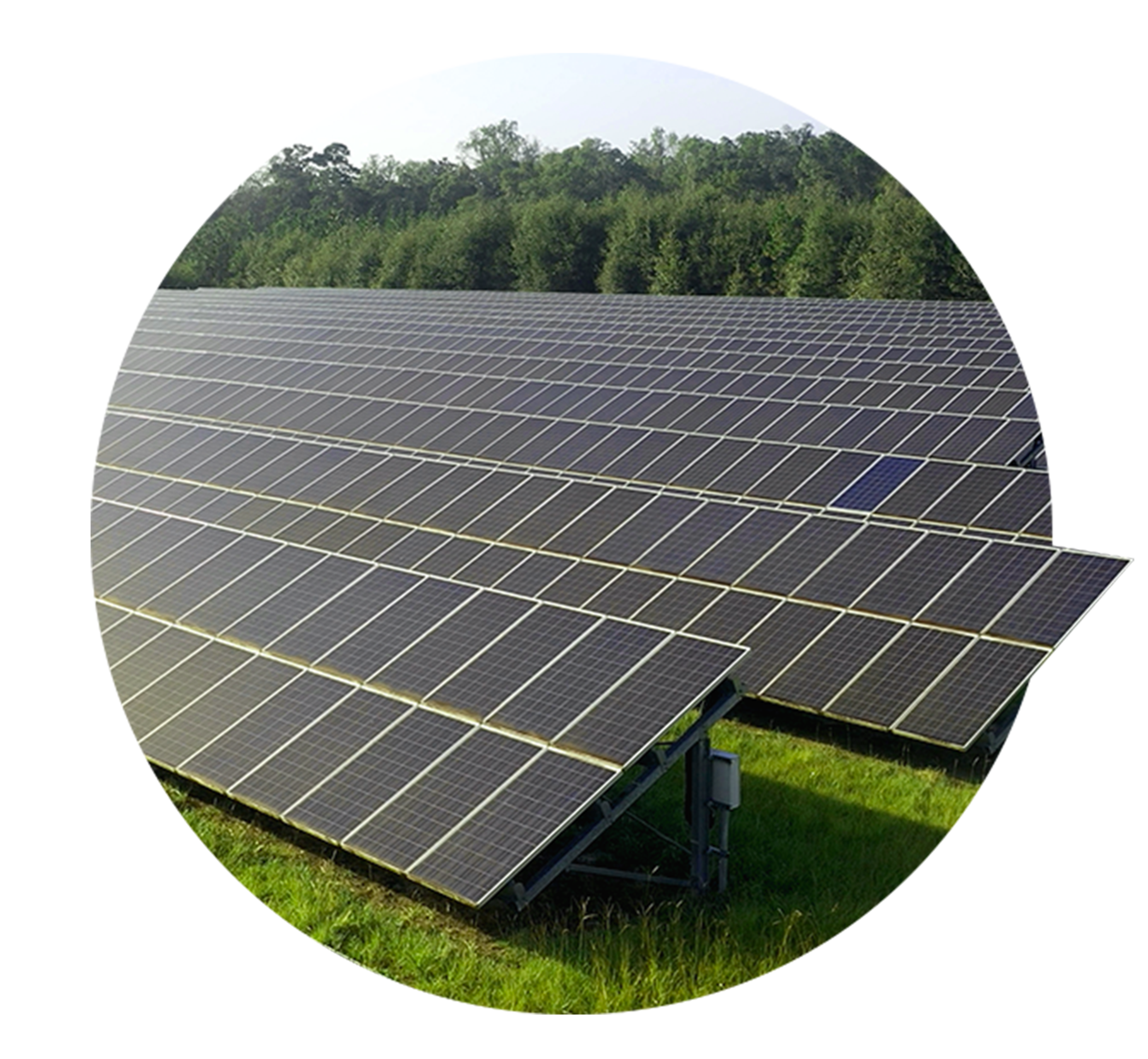 Homepage_CleanEnergy_Solar@2x.png