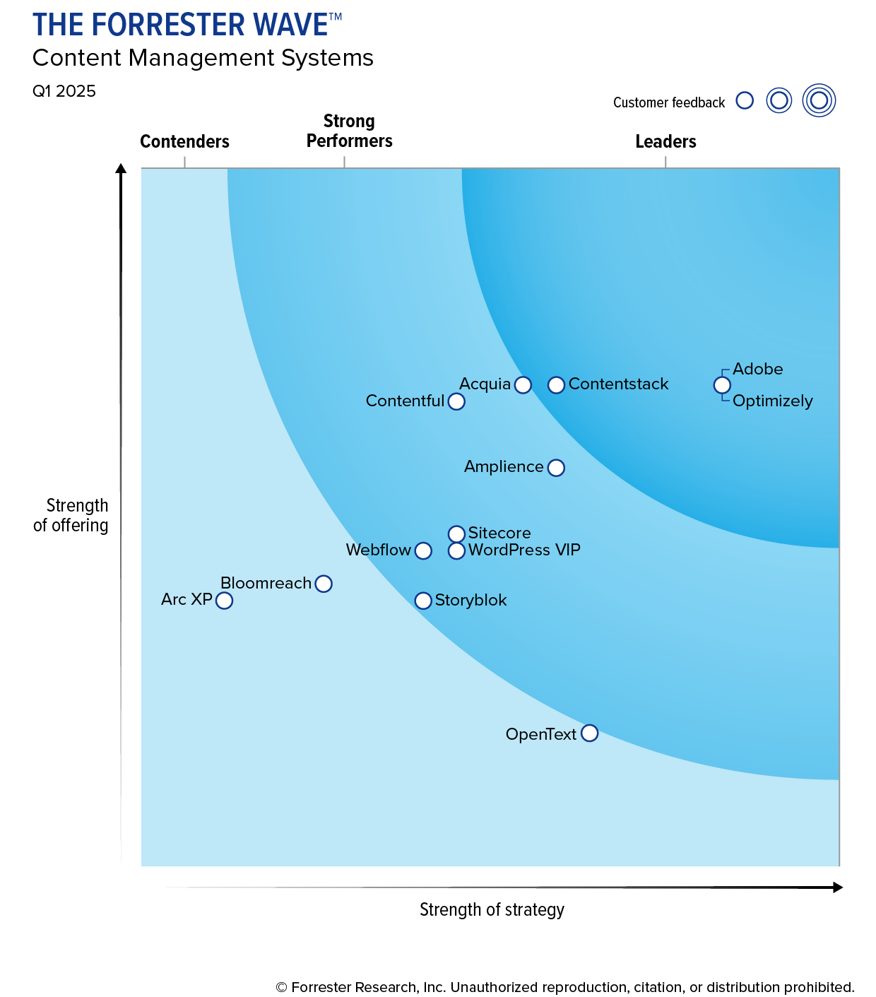 forrester-cms-wave-2025-q1-report-chart.png