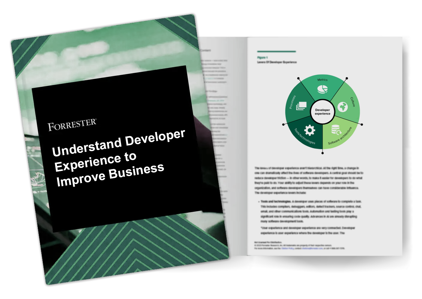 Forrester_Report_2024_Dev_exp.png