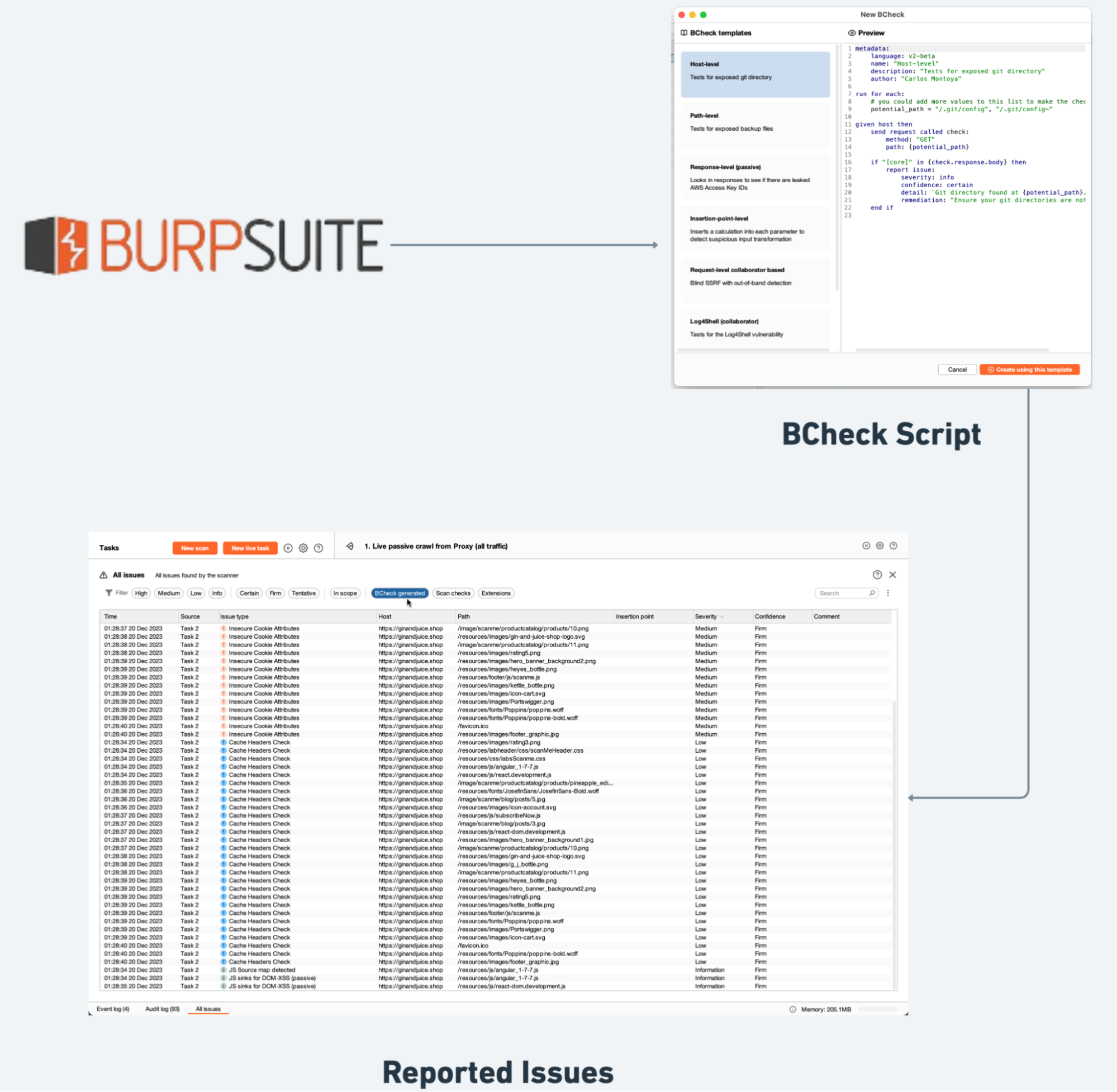 Burp suite bcheck-reported-issues