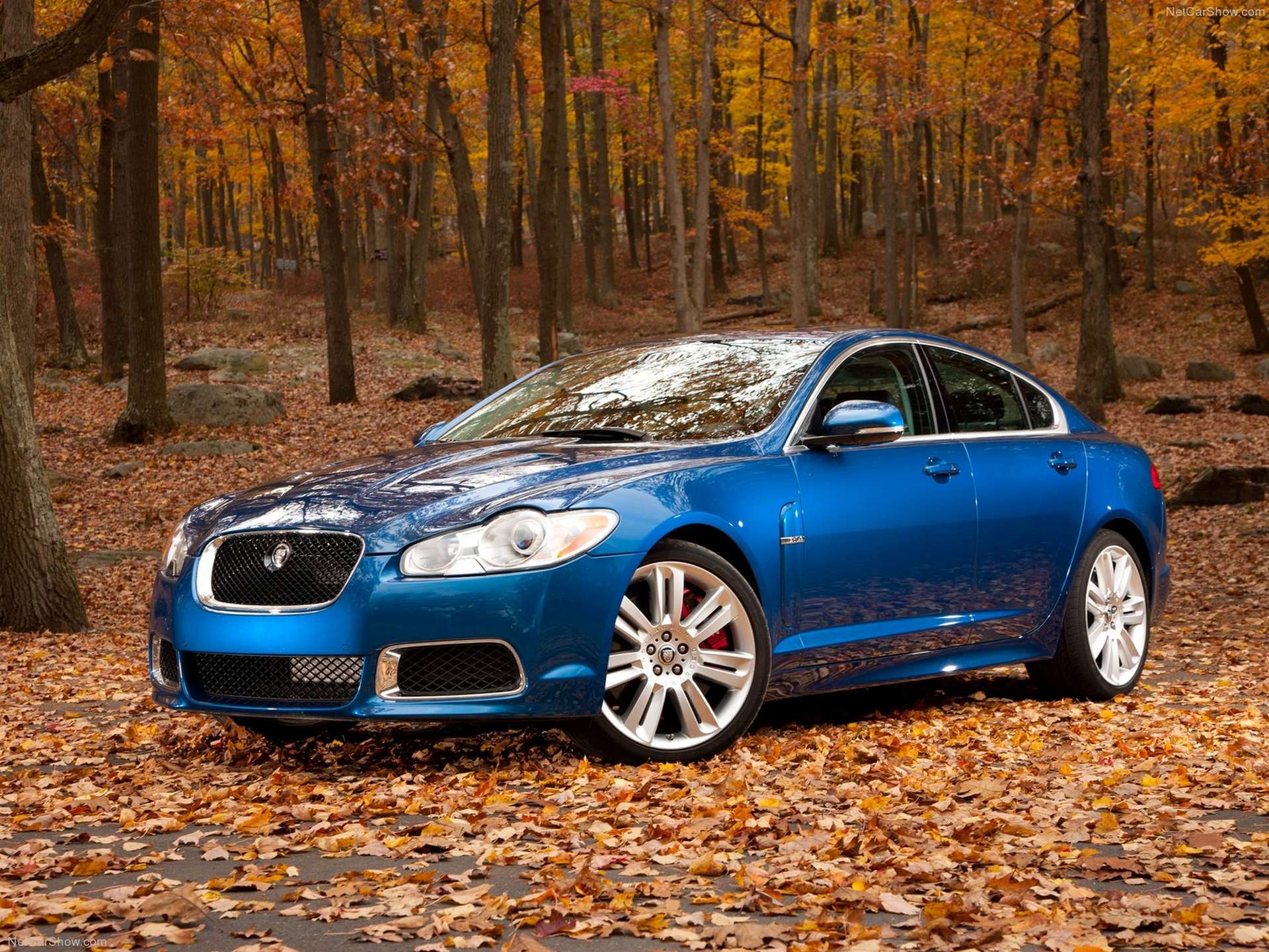 Jaguar-XFR-2010-1600-0a.jpg