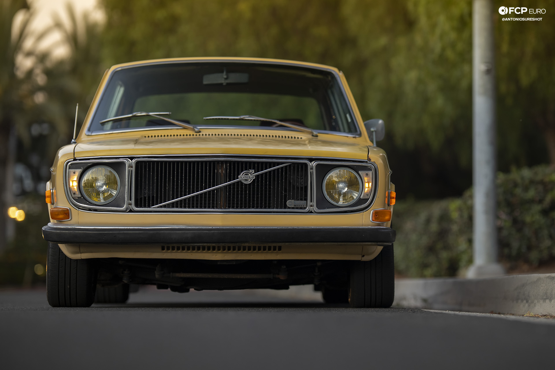 Volvo 142S Gotti Wheels EOSR0593 crop