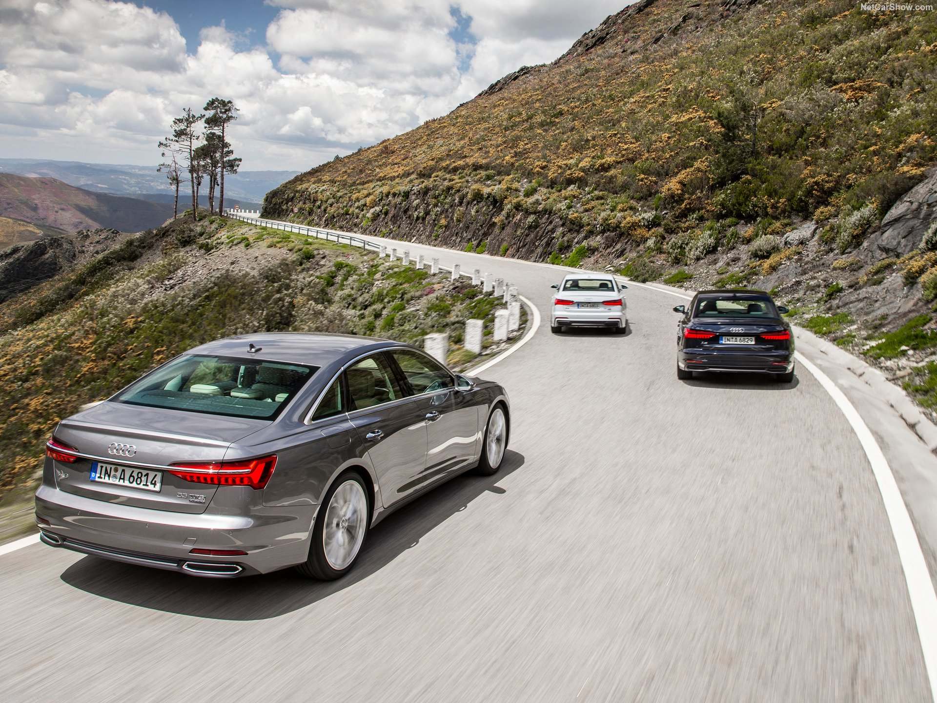 C8-Audi-A6_Sedan-2026-Rear.jpg
