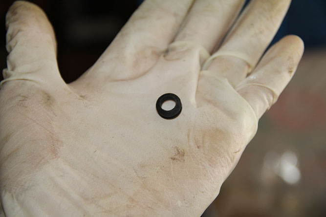 New seal in hand