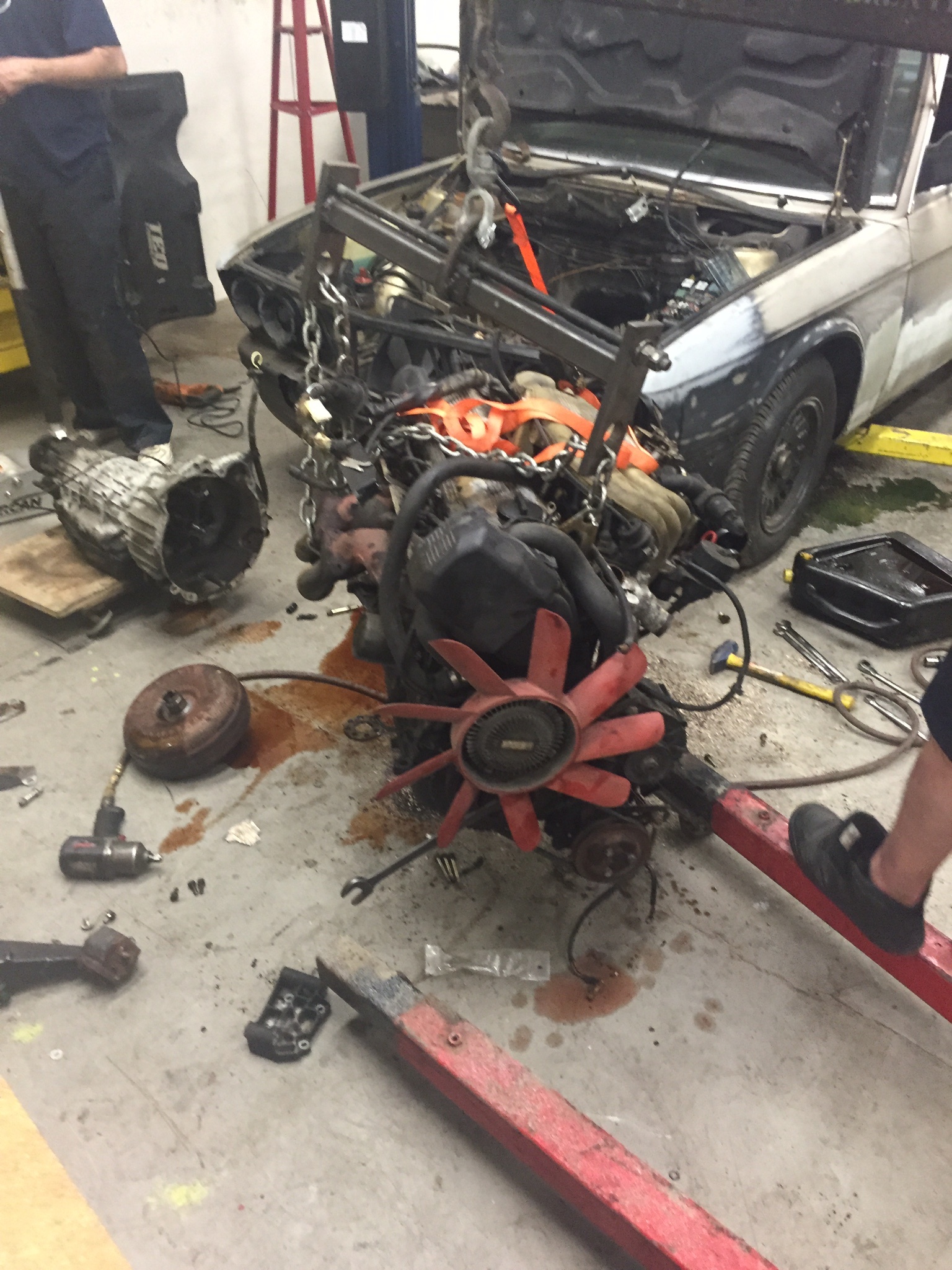 IMG_0008.jpg IMG_0008.jpg