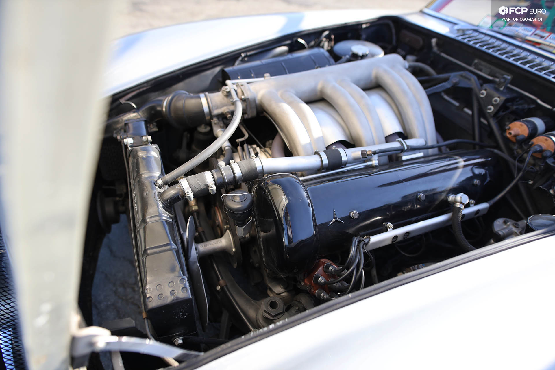 Mercedes-Benz 300SL Gullwing W198 Sonoma Speed Festival Alex Curtis
