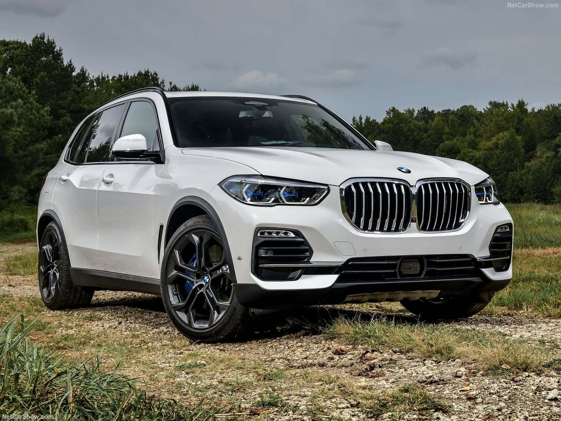 BMW-X5-2019-1280-2d4d66574bcfe672c3f4b4ac209f1bec32.jpg