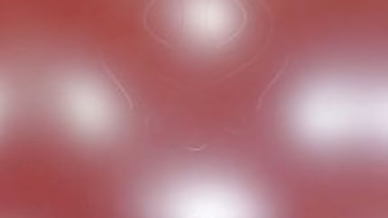 Anti-Gloss: The Rise of Matte Paint