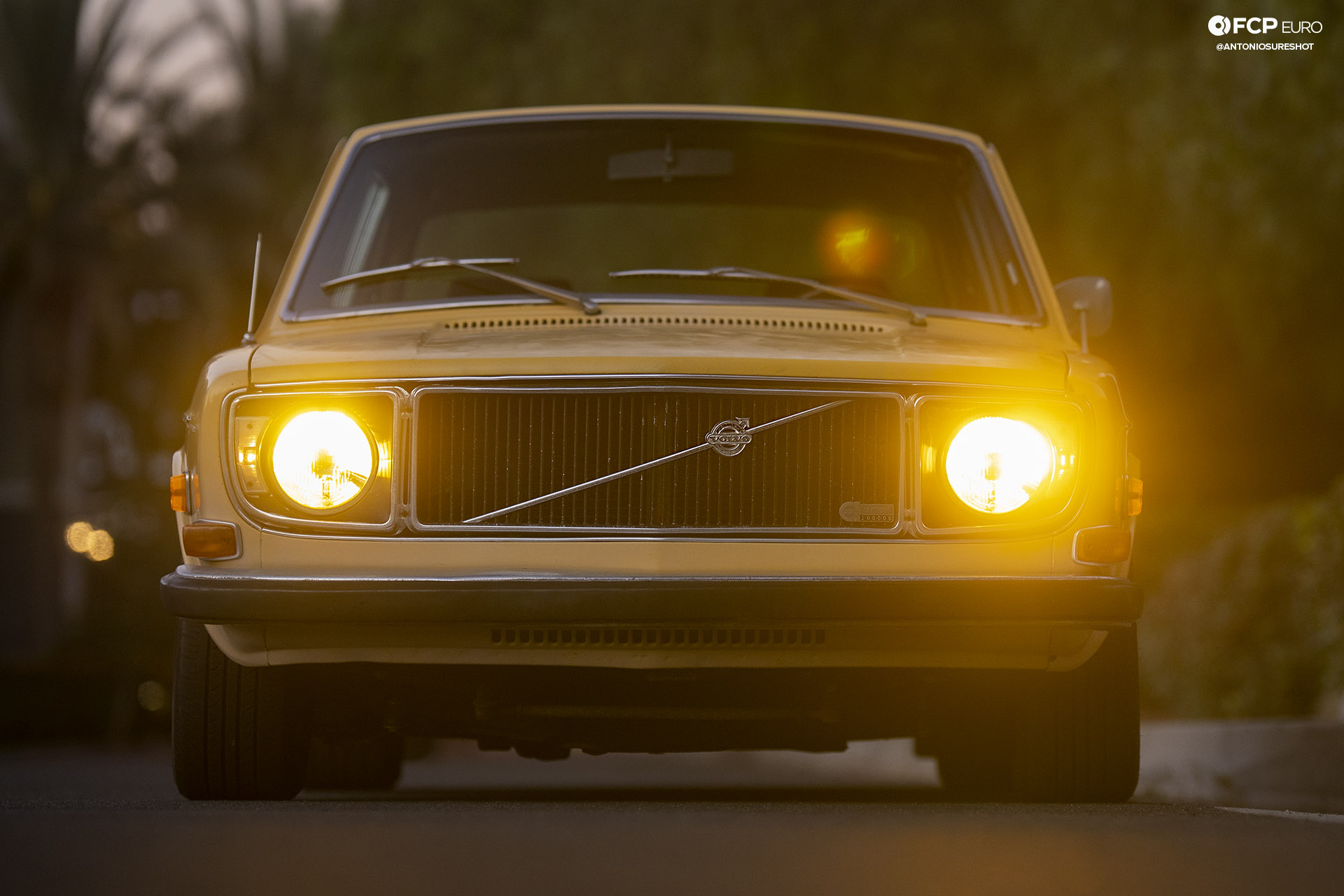 Volvo 142S Gotti Wheels EOSR0590 crop