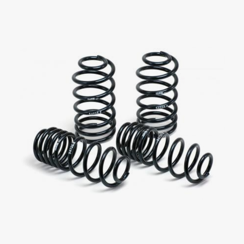 Lowering Spring Kit