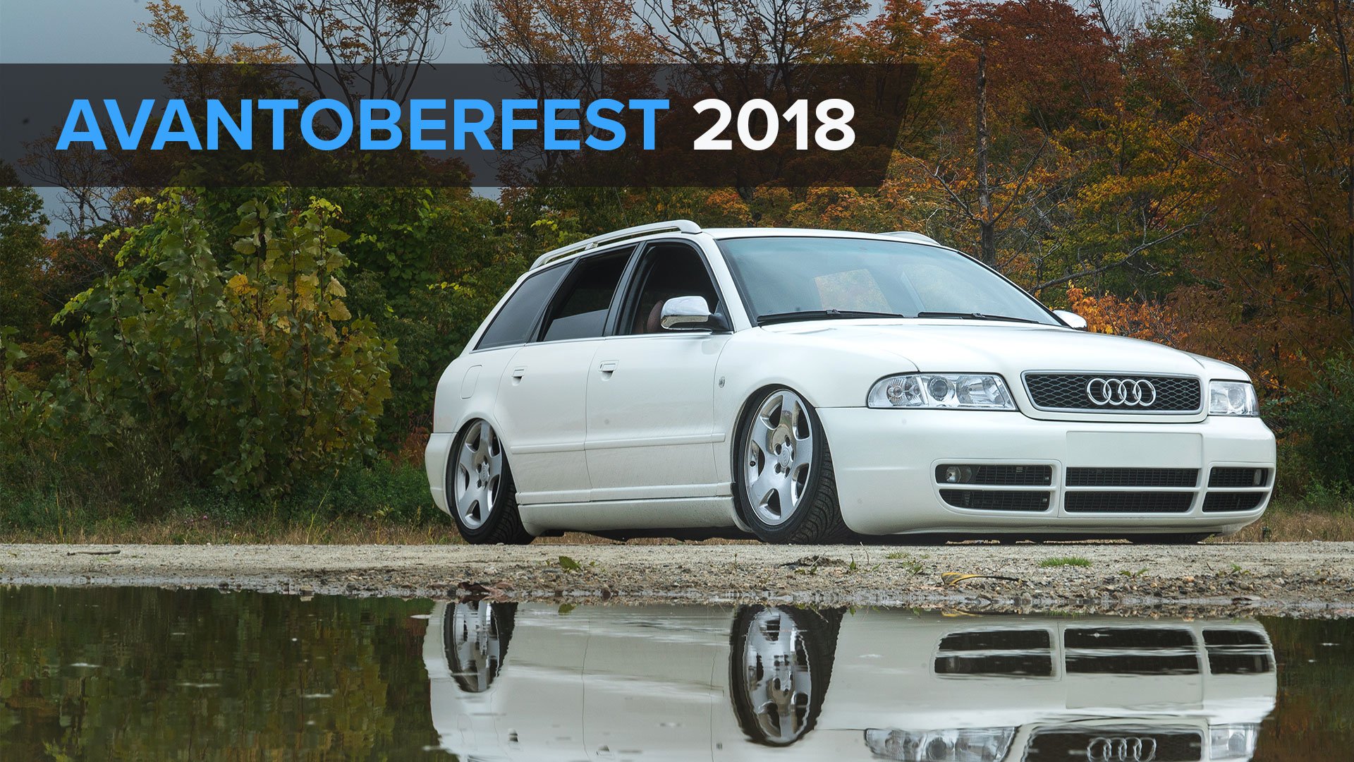 avantoberfest-white-b5
