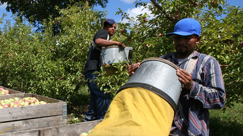 farm jobs in michigan