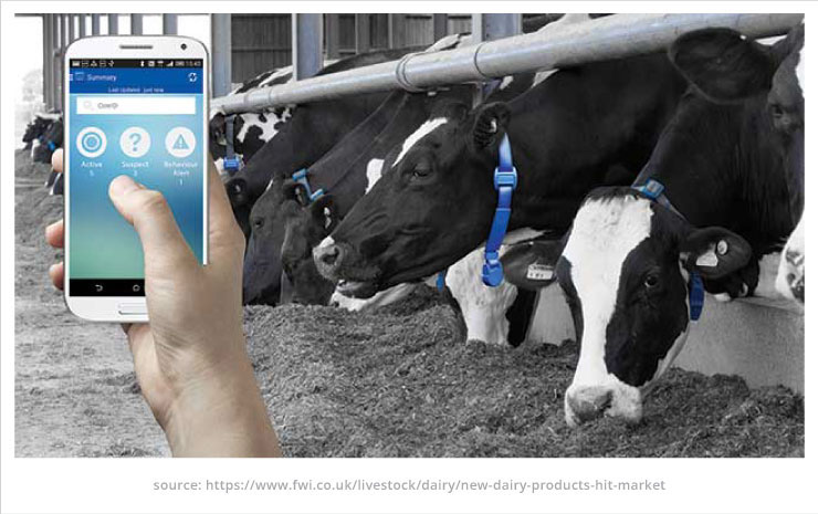 Fujitsu armed its cattle breeding support service with a monitoring device