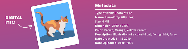 set metadata for all editready reel name