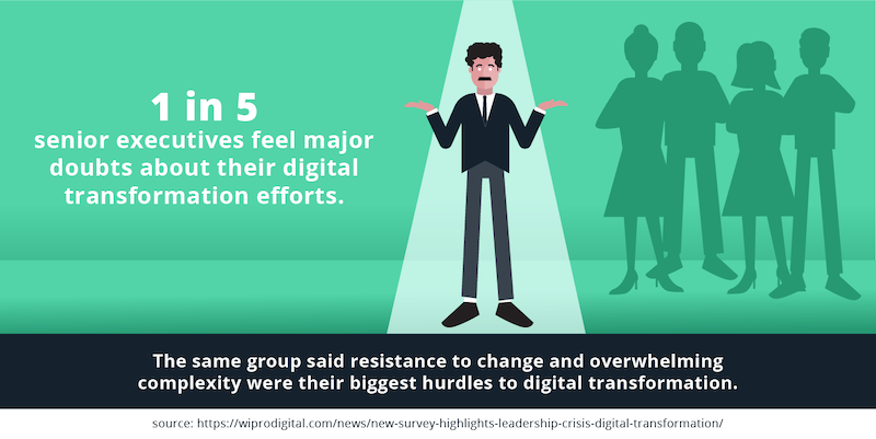 senior-executives-transformation-efforts.png