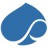 Capgemini