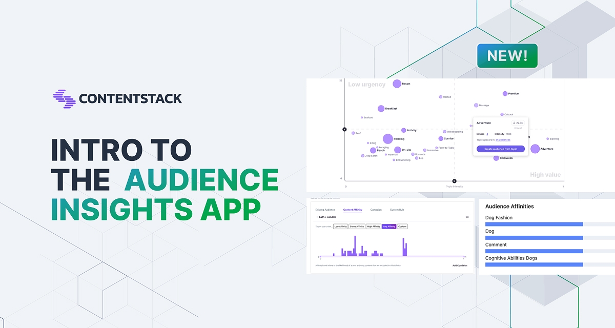intro-to-audience-insights-app_og .jpeg
