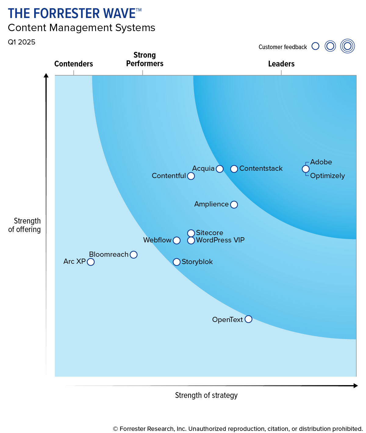 forrester-cms-wave-2025-q1-report-chart.png