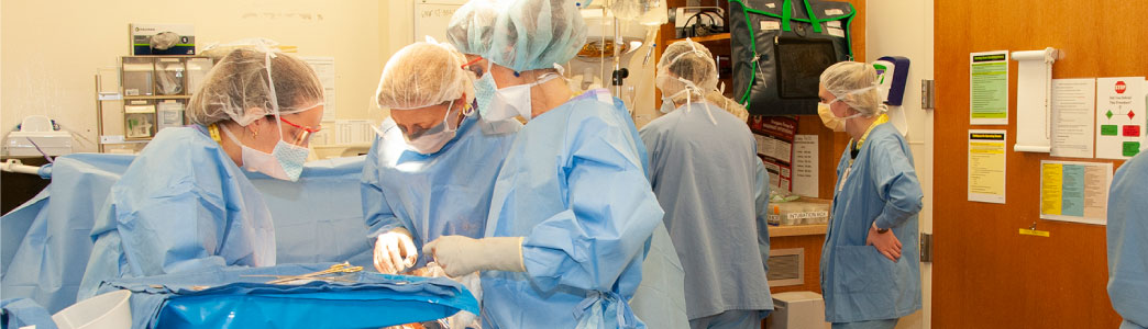 Doctors working on a patient