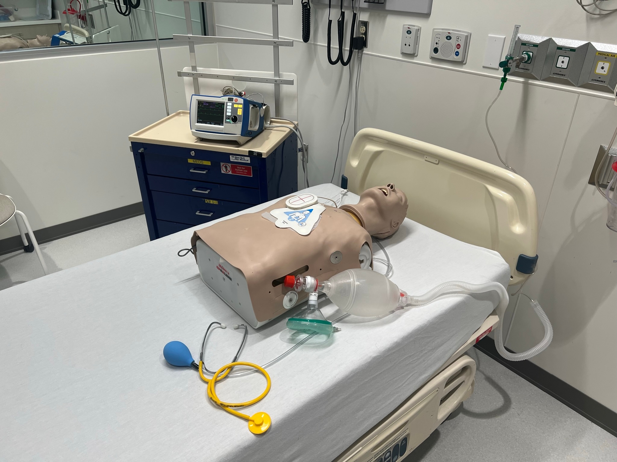 Clinical simulation