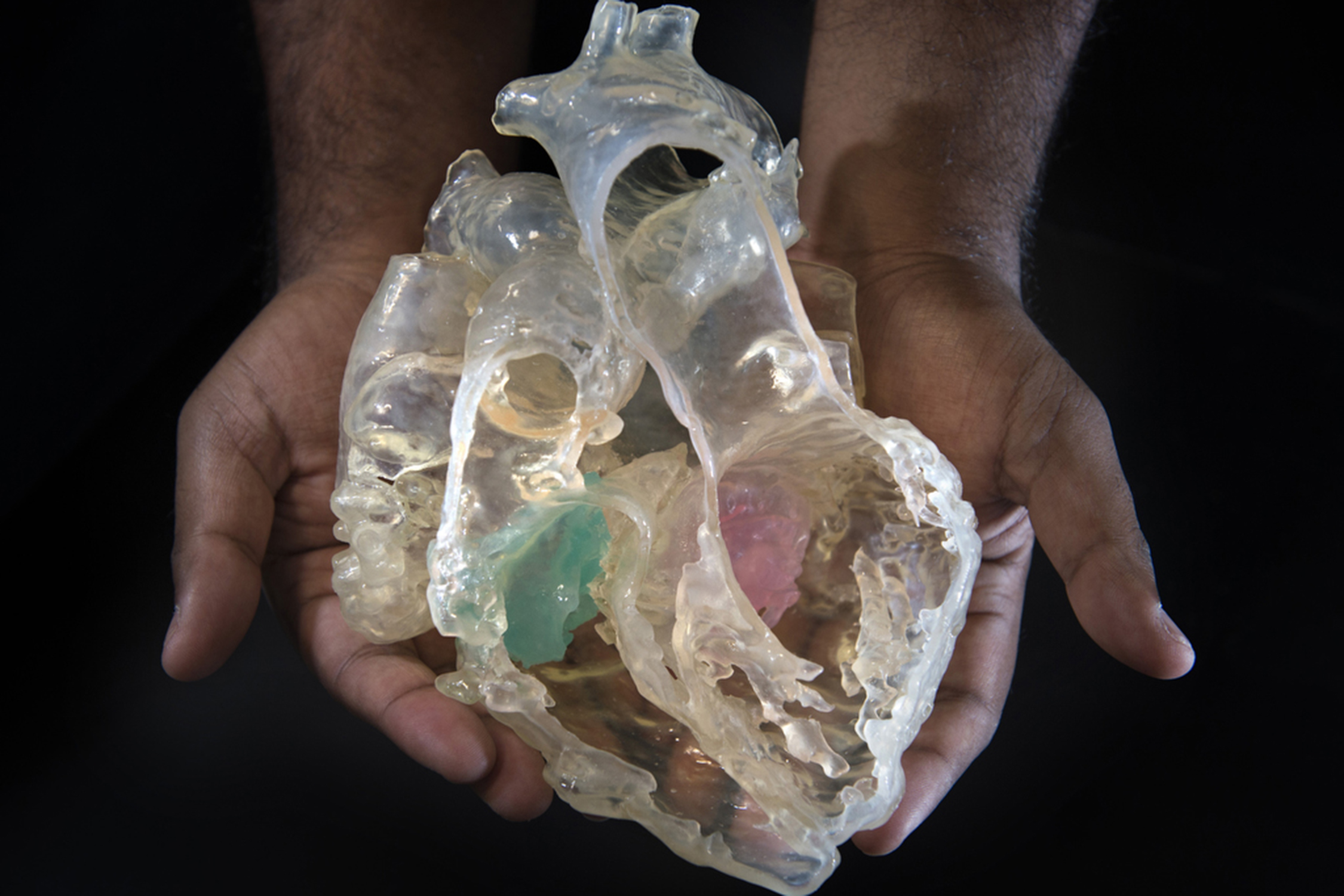 3-D model of heart.