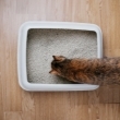 Arena para gato