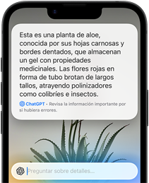 Un iPhone muestra cómo ChatGPT ahora está integrado en Siri