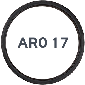 ARO 17