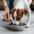Alimentos