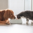 Alimentos para mascotas
