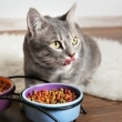 Alimentos