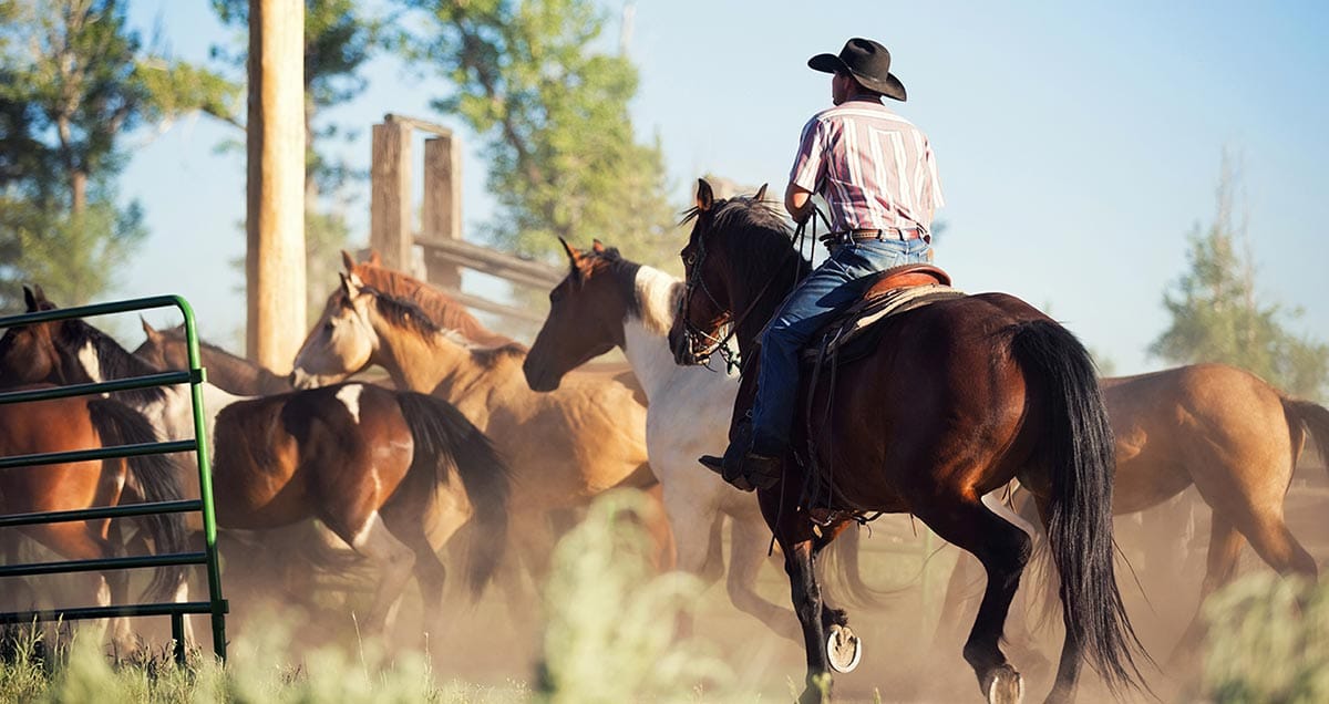 Man riding a horse in America