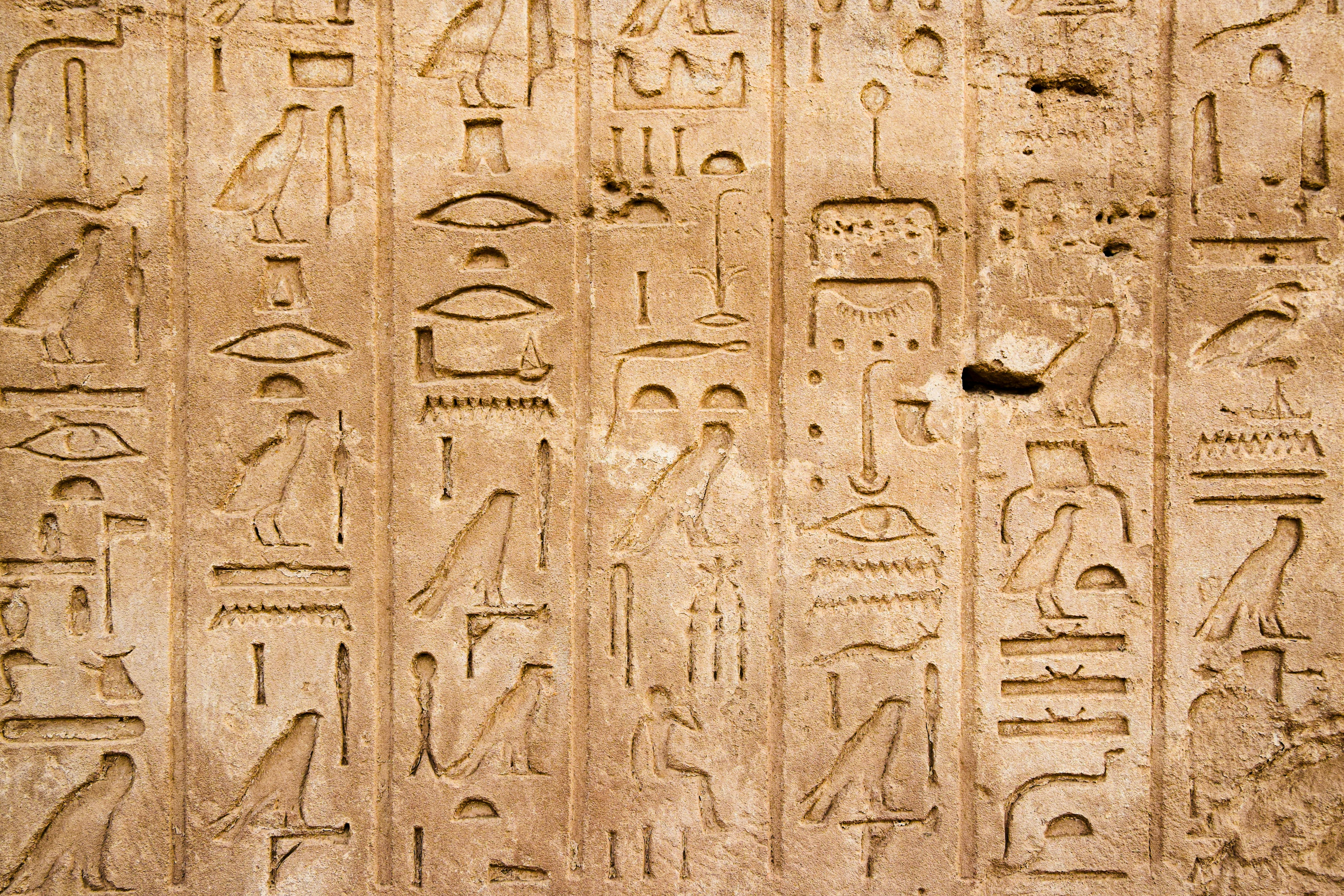 Egyptian hieroglyphs