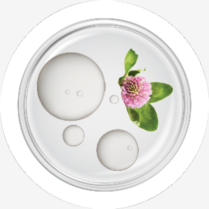 směs-ingrediencí-červeného-jetele-a-peptidů.png