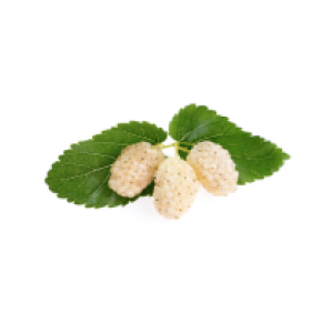 trme-MyEdge-ingredient-1.png