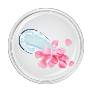 ingredient-hylaronic_acid_rose_ferment.png