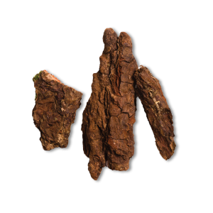 ingredient-sisku’pas_bark.png