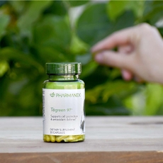Tēgreen 97® Green Tea Supplements (30 Count)